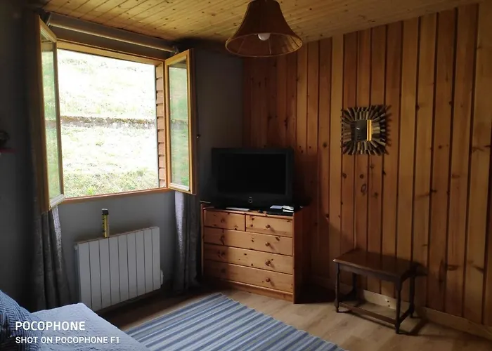 Hautes Vosges Paquerette *